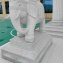 柳州 白麻花岗岩动物异形石雕-大象